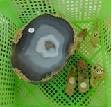 Lilly's Crystal Choice (Read discription)