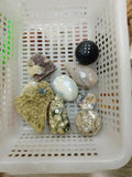 Richer's Crystal Choice (Read discription）