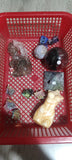 Richer's Crystal Choice (Read discription）
